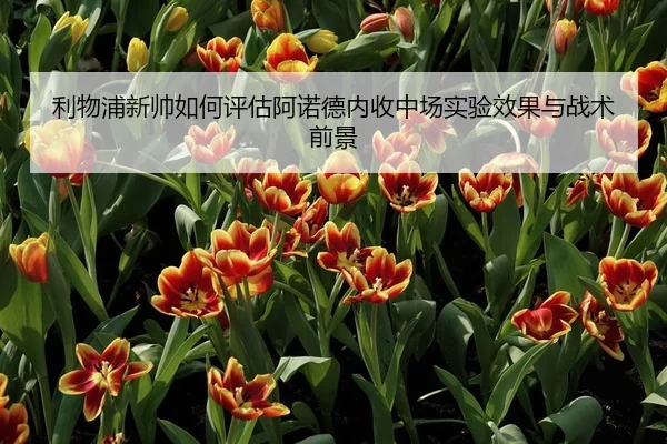 利物浦新帅如何评估阿诺德内收中场实验效果与战术前景