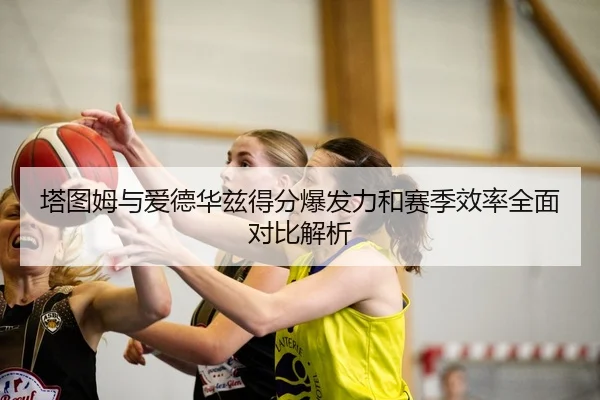 塔图姆与爱德华兹得分爆发力和赛季效率全面对比解析
